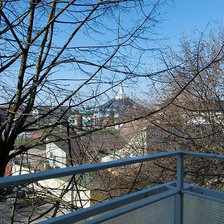 Zenit * Makó